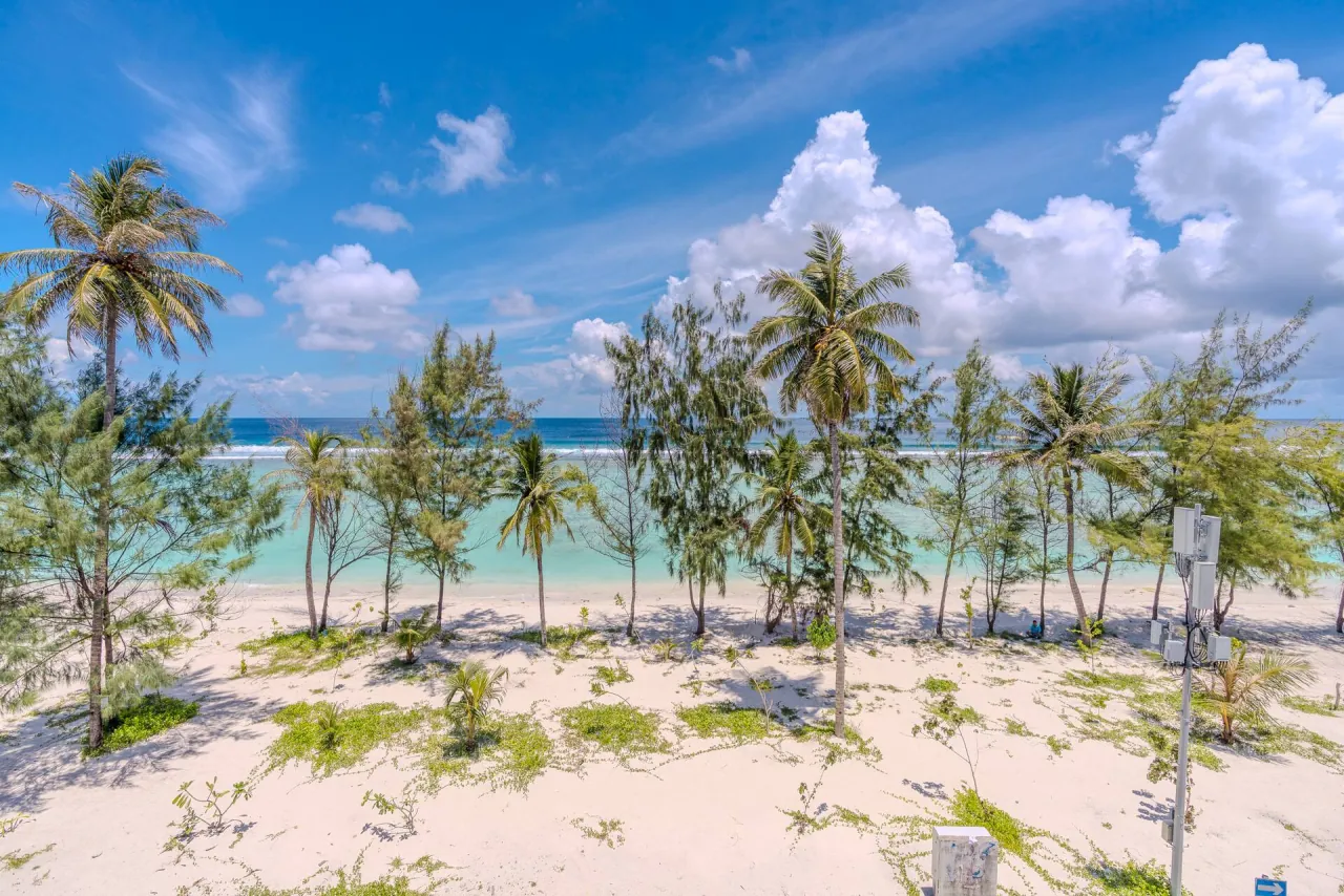 White sand beach lined with palms and casuarina trees under a blue sky